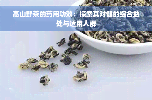 高山野茶的药用功效：探索其对健的综合益处与适用人群