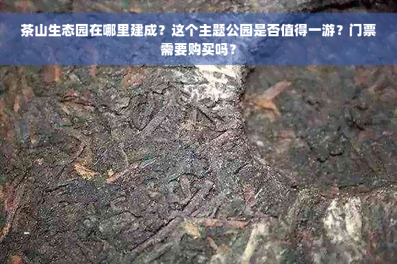 茶山生态园在哪里建成？这个主题公园是否值得一游？门票需要购买吗？