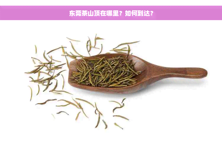 东莞茶山顶在哪里？如何到达？