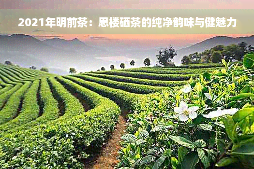 2021年明前茶：思楼硒茶的纯净韵味与健魅力