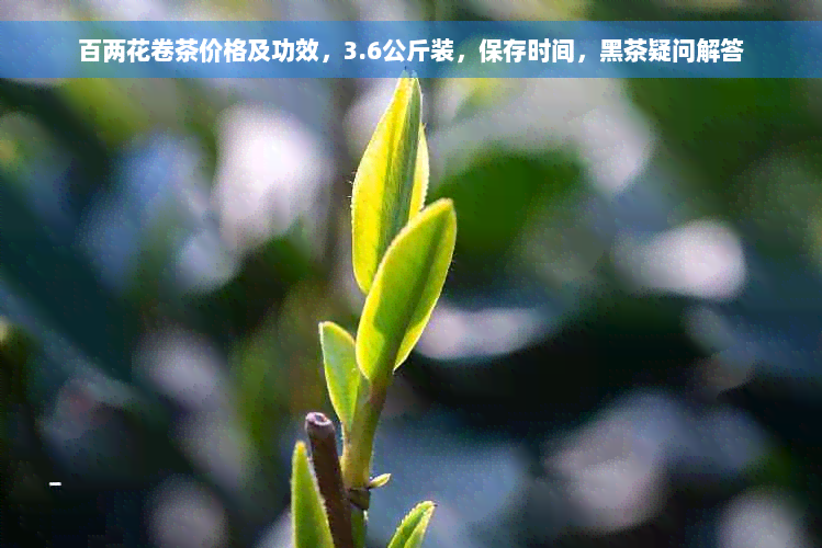 百两花卷茶价格及功效，3.6公斤装，保存时间，黑茶疑问解答