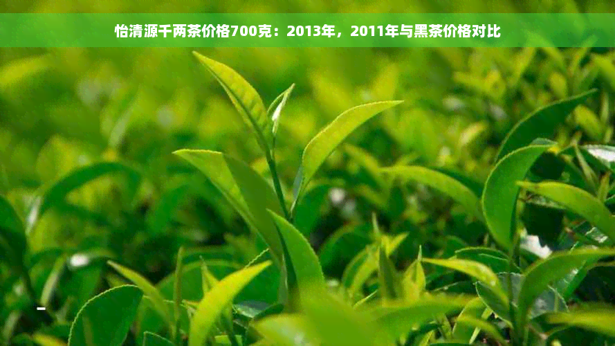 怡清源千两茶价格700克：2013年，2011年与黑茶价格对比