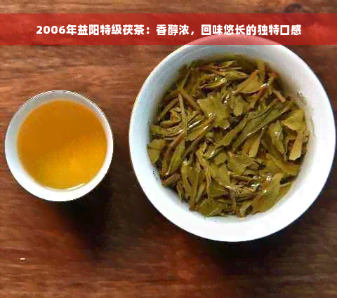 2006年益阳特级茯茶：香醇浓，回味悠长的独特口感