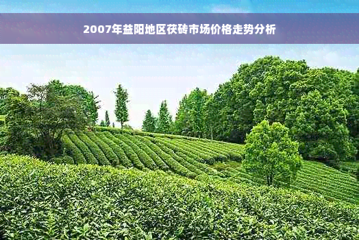 2007年益阳地区茯砖市场价格走势分析