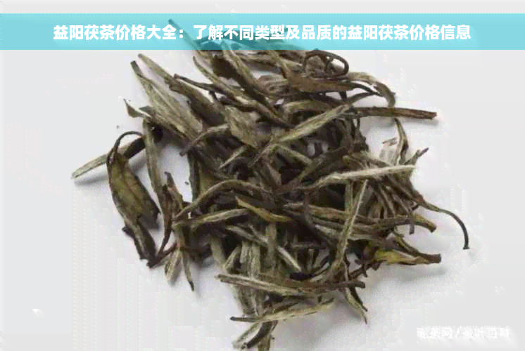 益阳茯茶价格大全：了解不同类型及品质的益阳茯茶价格信息