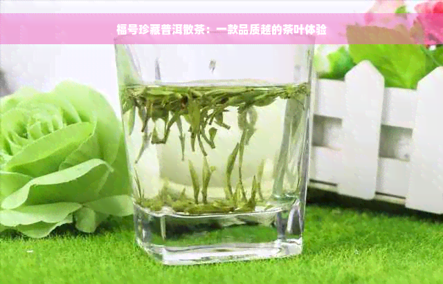 福号珍藏普洱散茶：一款品质越的茶叶体验