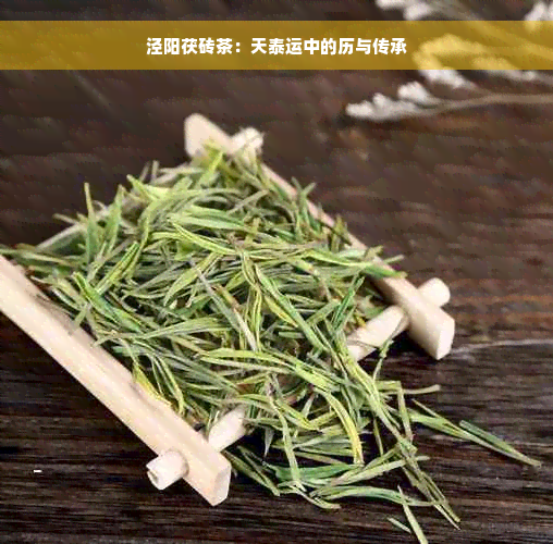 泾阳茯砖茶：天泰运中的历与传承