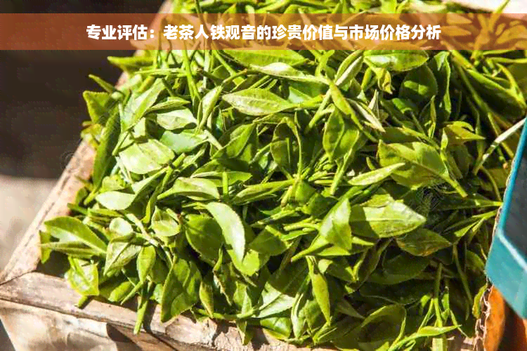 专业评估：老茶人铁观音的珍贵价值与市场价格分析