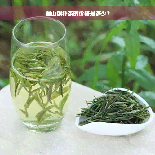 君山银针茶的价格是多少？