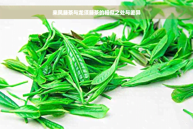 来凤藤茶与龙须藤茶的相似之处与差异