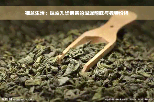 禅意生活：探索九华佛茶的深邃韵味与独特价格