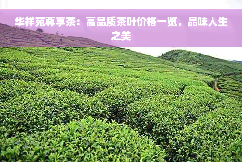 华祥苑尊享茶：高品质茶叶价格一览，品味人生之美