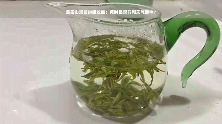 县茶山观景时间攻略：何时是观节和天气条件？