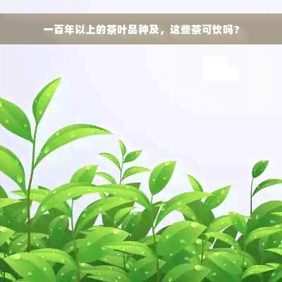 一百年以上的茶叶品种及，这些茶可饮吗？