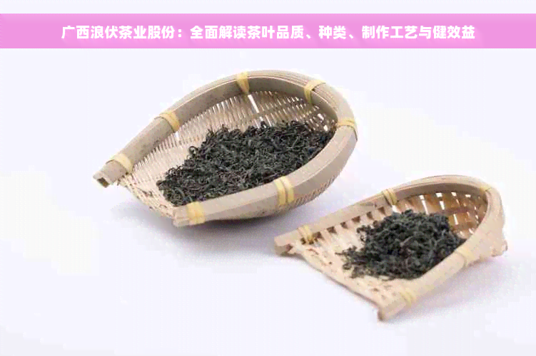 广西浪伏茶业股份：全面解读茶叶品质、种类、制作工艺与健效益