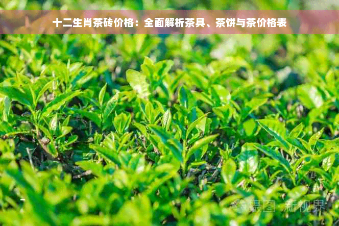 十二生肖茶砖价格：全面解析茶具、茶饼与茶价格表