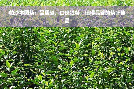 帕沙木圆茶：品质越，口感独特，值得品鉴的茶叶佳品