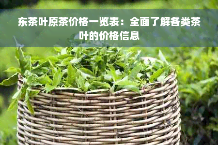 东茶叶原茶价格一览表：全面了解各类茶叶的价格信息