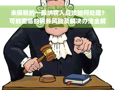 未报税的一般纳税人应该如何处理？可能面临的税务风险及解决办法全解析