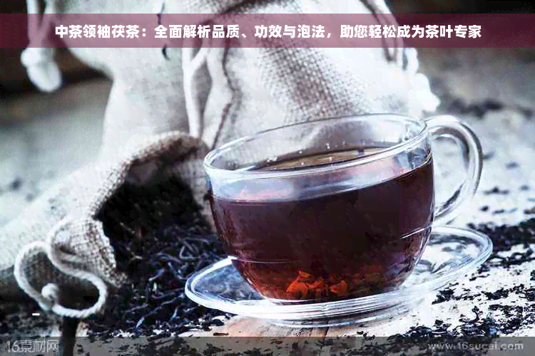 中茶领袖茯茶：全面解析品质、功效与泡法，助您轻松成为茶叶专家