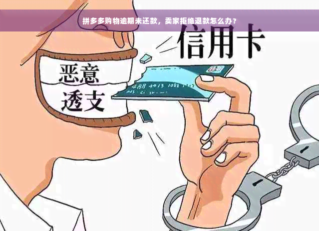 拼多多购物逾期未还款，卖家拒绝退款怎么办？