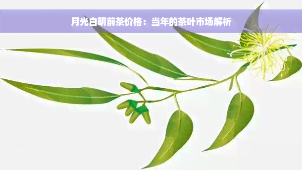 月光白明前茶价格：当年的茶叶市场解析