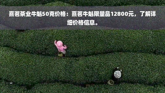 熹茗茶业牛魁50克价格：熹茗牛魁限量品12800元，了解详细价格信息。