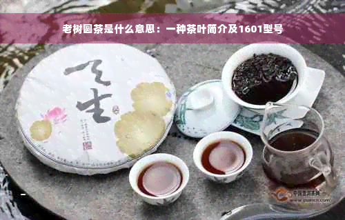 老树圆茶是什么意思：一种茶叶简介及1601型号