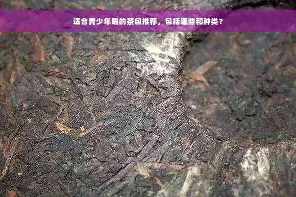 适合青少年喝的茶包推荐，包括哪些和种类？