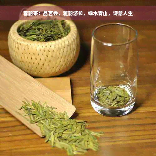 春韵茶：品茗会，雅韵悠长，绿水青山，诗意人生