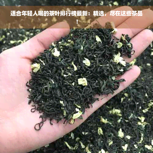 适合年轻人喝的茶叶排行榜最新：精选，尽在这些茶品！