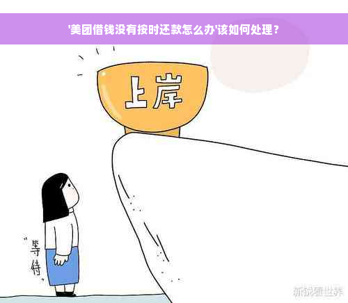 '美团借钱没有按时还款怎么办'该如何处理？