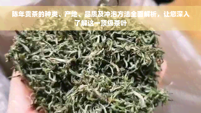 陈年贡茶的种类、产地、品质及冲泡方法全面解析，让您深入了解这一顶级茶叶