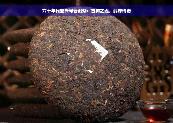 六十年代鼎兴号普洱茶：古树之魂，醇厚传奇