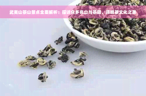 武夷山茶山景点全面解析：探访众多名山与茶园，领略茶文化之美