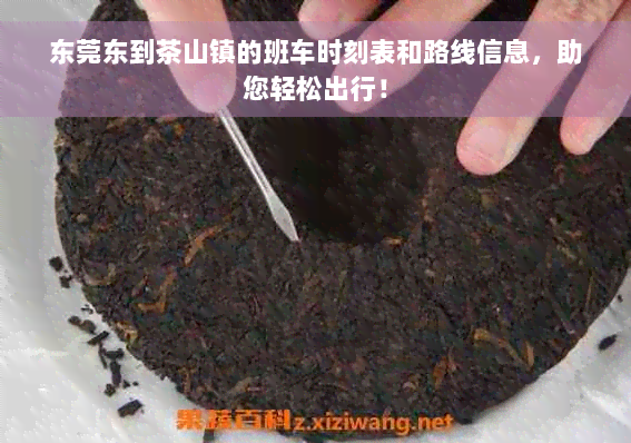 东莞东到茶山镇的班车时刻表和路线信息，助您轻松出行！