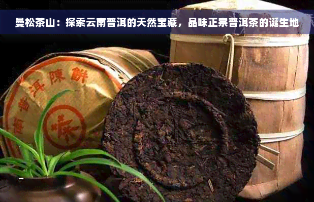 曼松茶山：探索云南普洱的天然宝藏，品味正宗普洱茶的诞生地