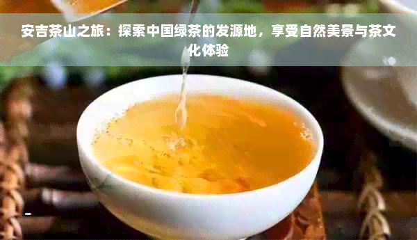 安吉茶山之旅：探索中国绿茶的发源地，享受自然美景与茶文化体验