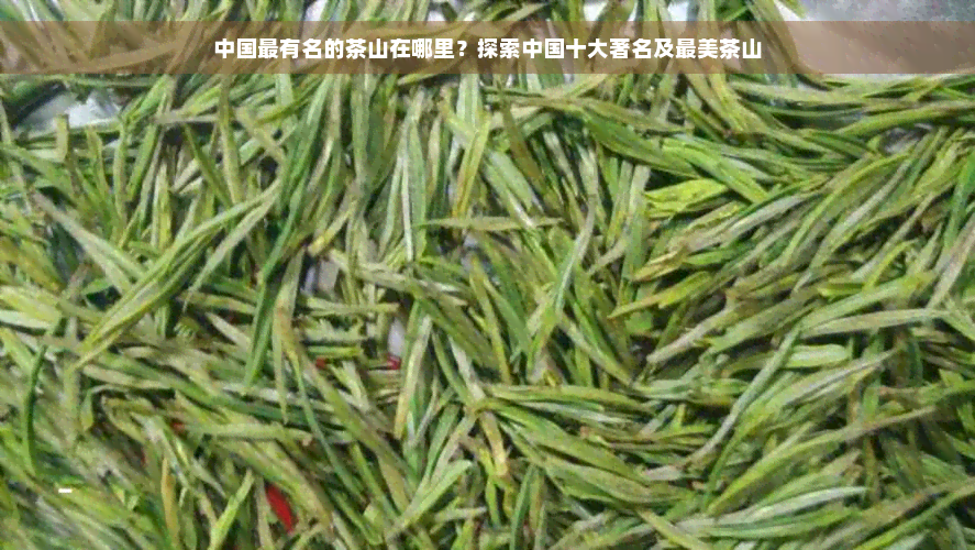 中国最有名的茶山在哪里？探索中国十大著名及最美茶山