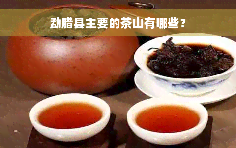 勐腊县主要的茶山有哪些？