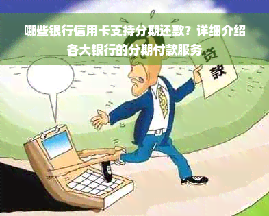 哪些银行信用卡支持分期还款？详细介绍各大银行的分期付款服务