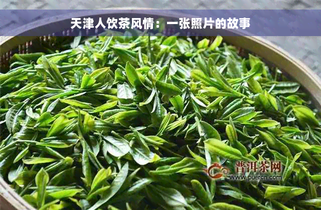 天津人饮茶风情：一张照片的故事