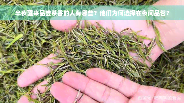 半夜醒来品尝茶香的人有哪些？他们为何选择在夜间品茗？