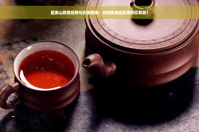 武夷山岩茶品种与价格指南：如何挑选高品质的印茗茶？