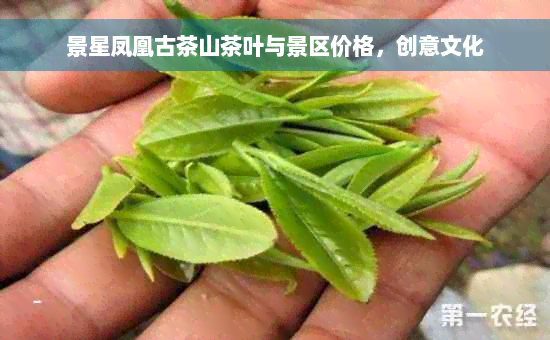 景星凤凰古茶山茶叶与景区价格，创意文化