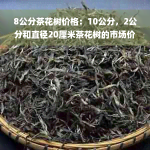 8公分茶花树价格：10公分，2公分和直径20厘米茶花树的市场价