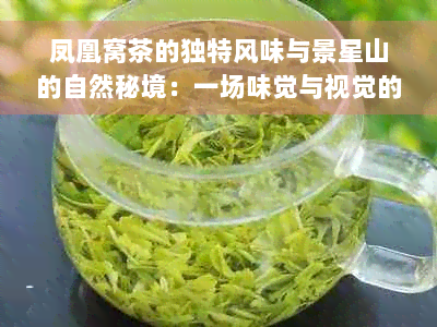 凤凰窝茶的独特风味与景星山的自然秘境：一场味觉与视觉的宴