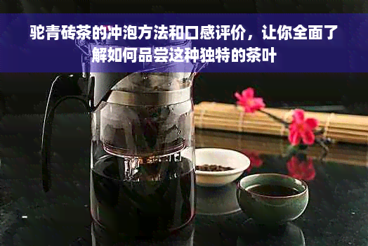 驼青砖茶的冲泡方法和口感评价，让你全面了解如何品尝这种独特的茶叶