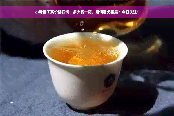 小叶苦丁茶价格行情：多少钱一箱，如何避免骗局？今日关注！