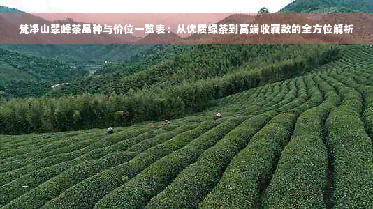 梵净山翠峰茶品种与价位一览表：从优质绿茶到高端收藏款的全方位解析